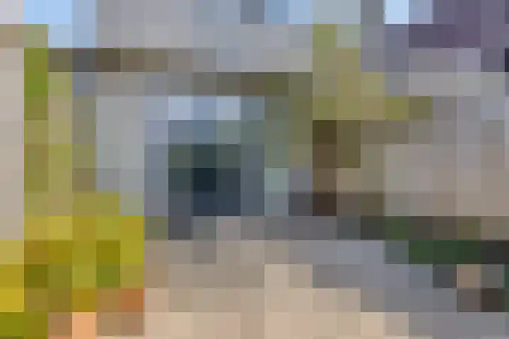 Besterdring 39 Tilburg thumbnail 27