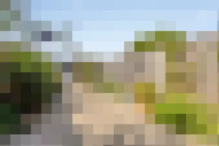 Besterdring 39 Tilburg thumbnail 29