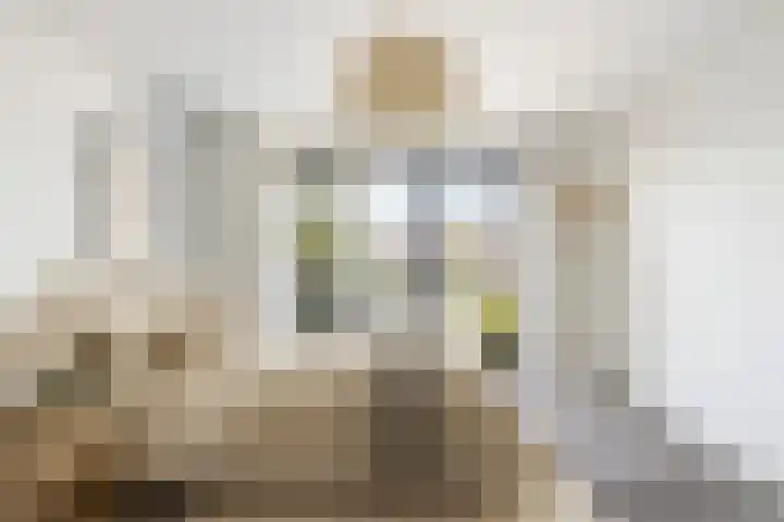 Besterdring 39 Tilburg thumbnail 5