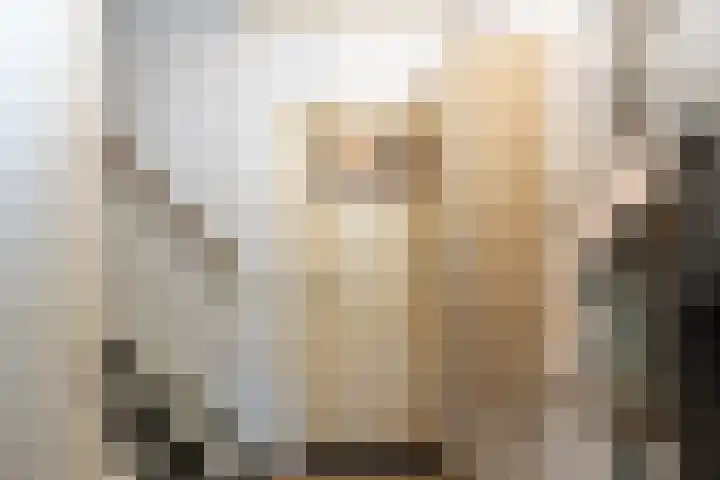 Besterdring 44 a Tilburg thumbnail 17