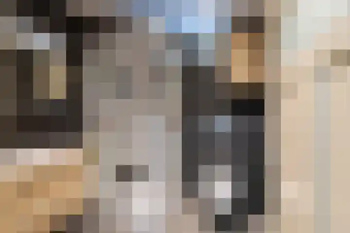 Besterdring 44 a Tilburg thumbnail 19