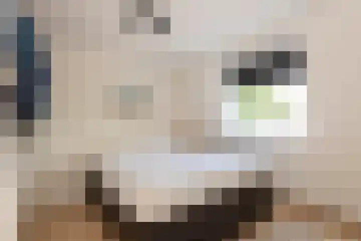 Besterdring 44 a Tilburg thumbnail 23