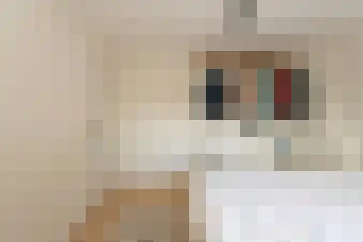 Besterdring 44 a Tilburg thumbnail 25