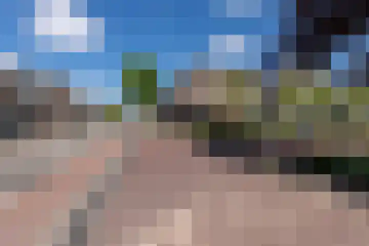 Besterdring 44 a Tilburg thumbnail 34