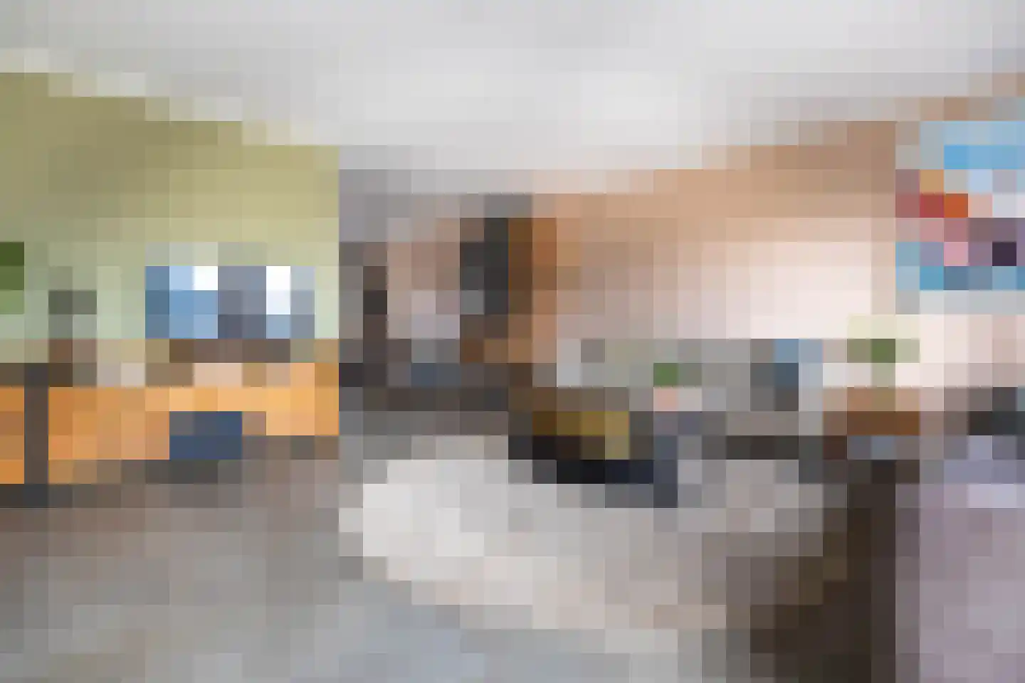 Bestevaer 18 Alphen aan den Rijn thumbnail 13