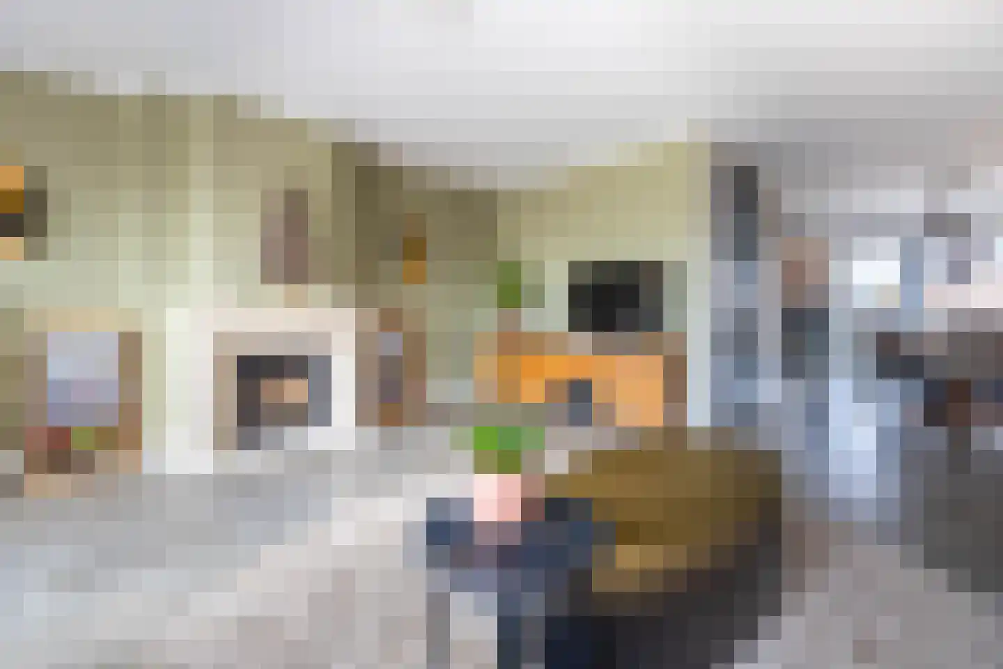 Bestevaer 18 Alphen aan den Rijn thumbnail 15