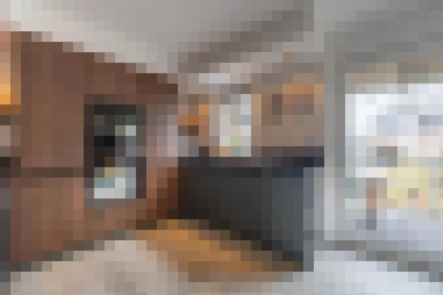 Bestevaer 18 Alphen aan den Rijn thumbnail 19
