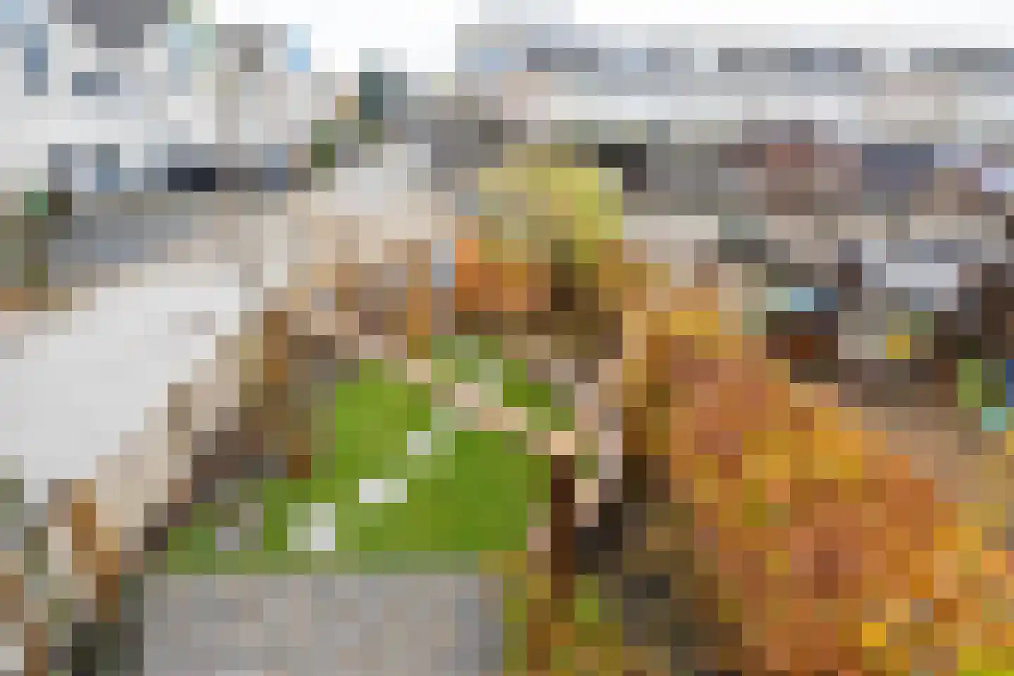 Bestevaer 18 Alphen aan den Rijn thumbnail 22
