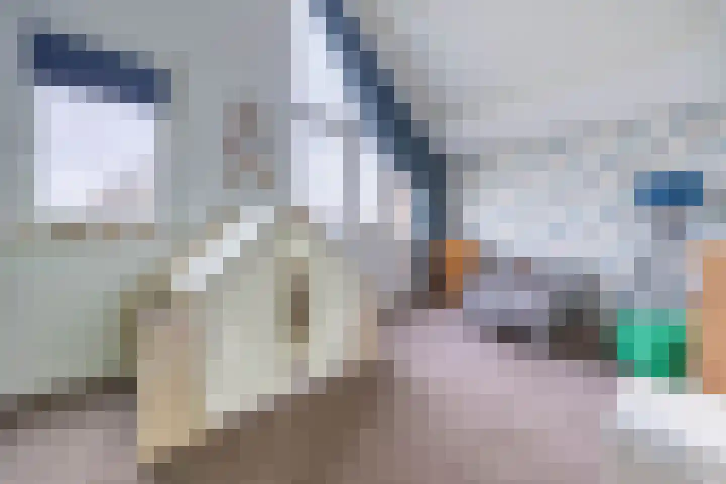 Bestevaer 18 Alphen aan den Rijn thumbnail 25