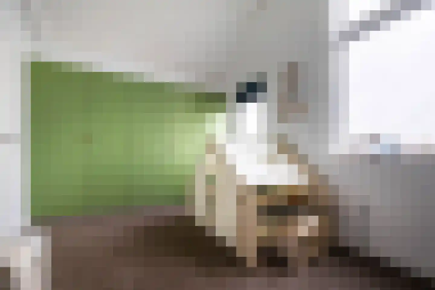Bestevaer 18 Alphen aan den Rijn thumbnail 26
