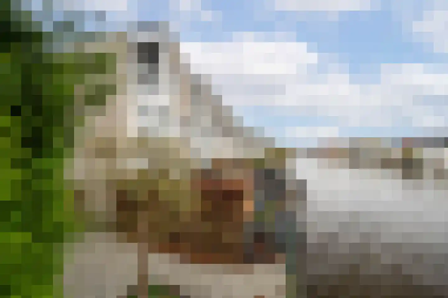 Bestevaer 18 Alphen aan den Rijn thumbnail 4