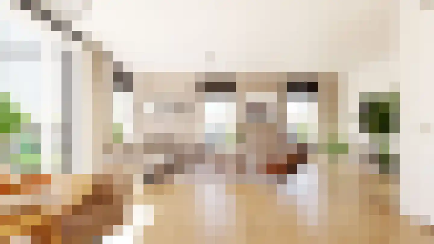 Bestevaer 21 Huizen thumbnail 13