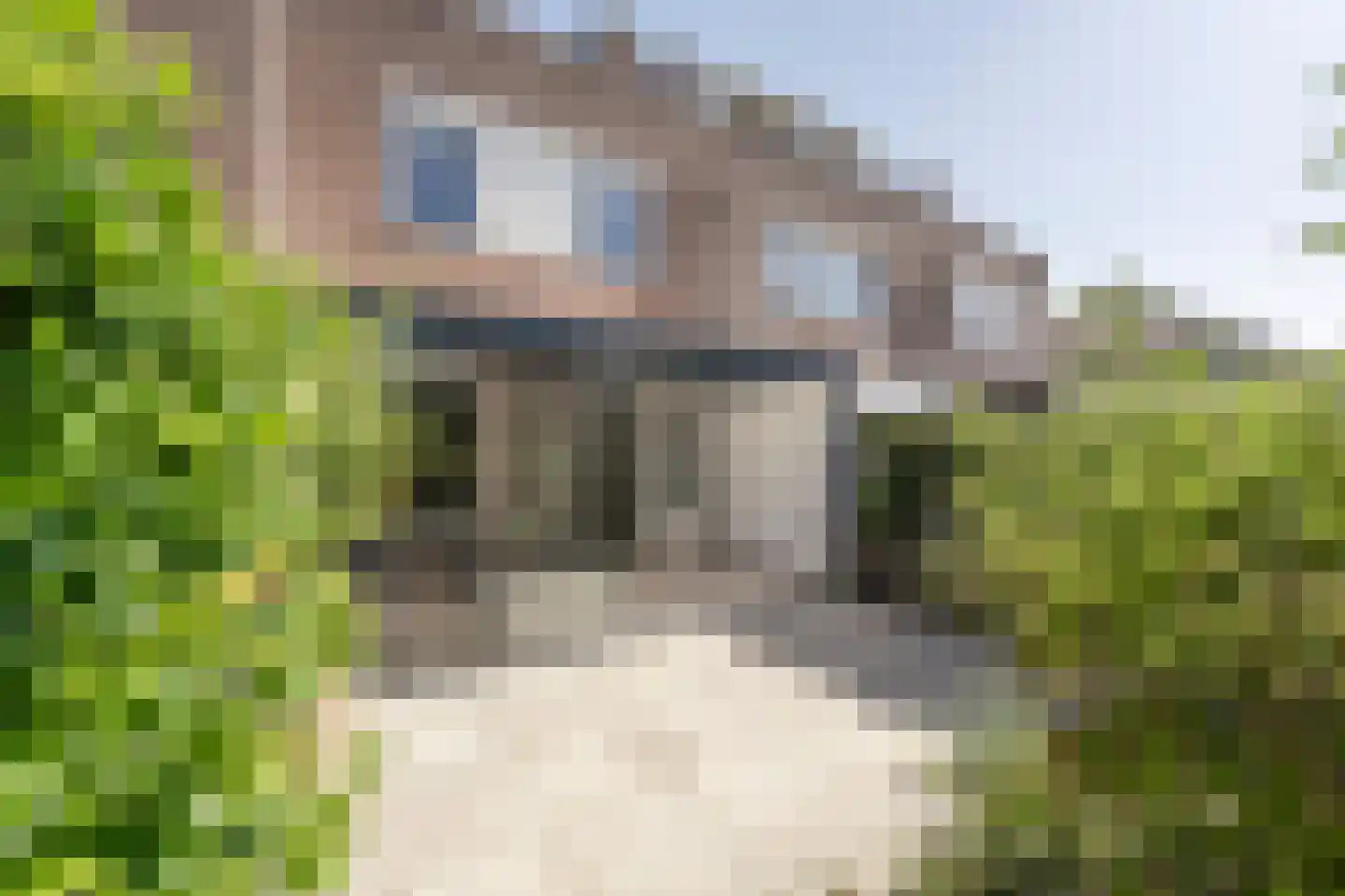 Bestevaerplein 5 Oud-Beijerland thumbnail 39