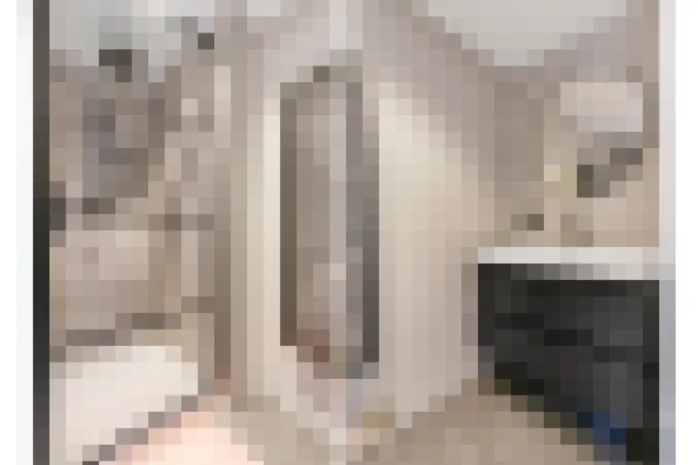 Bestevaerplein 7 Oud-Beijerland thumbnail 16