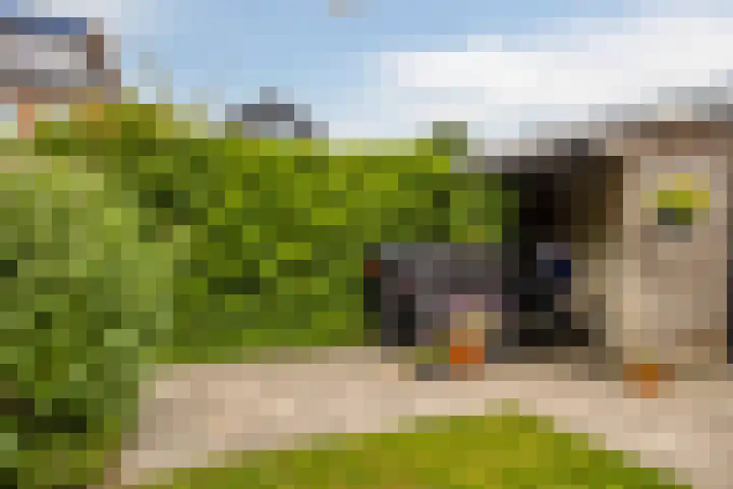 Bestevaerslaan 14 Heiloo thumbnail 27