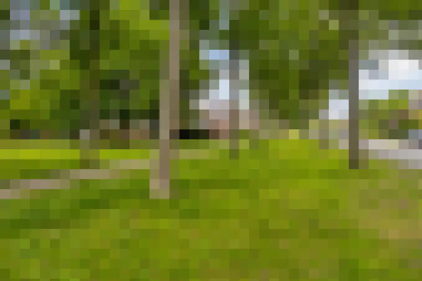 Bestevaerslaan 14 Heiloo thumbnail 28
