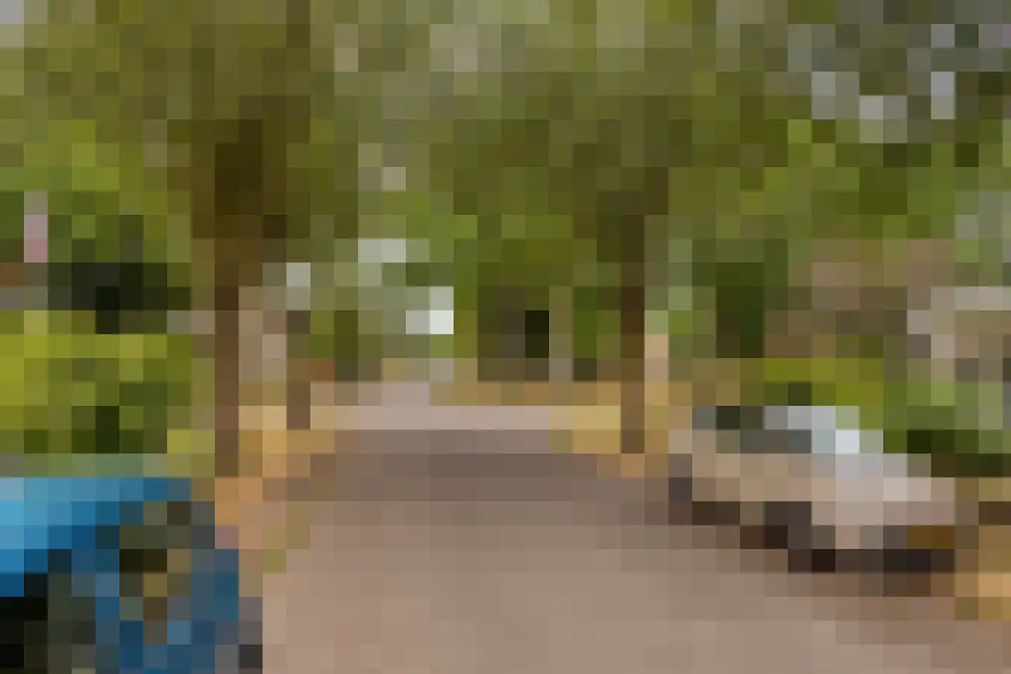 Bestevaerslaan 14 Heiloo thumbnail 29