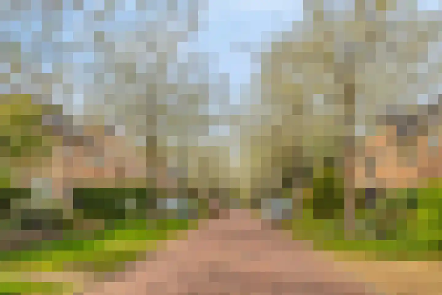 Bestevaerslaan 14 Heiloo thumbnail 32