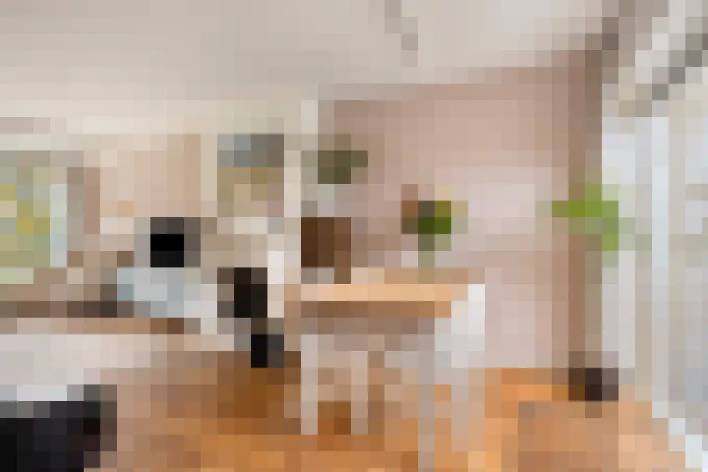 Bestevaerslaan 14 Heiloo thumbnail 8
