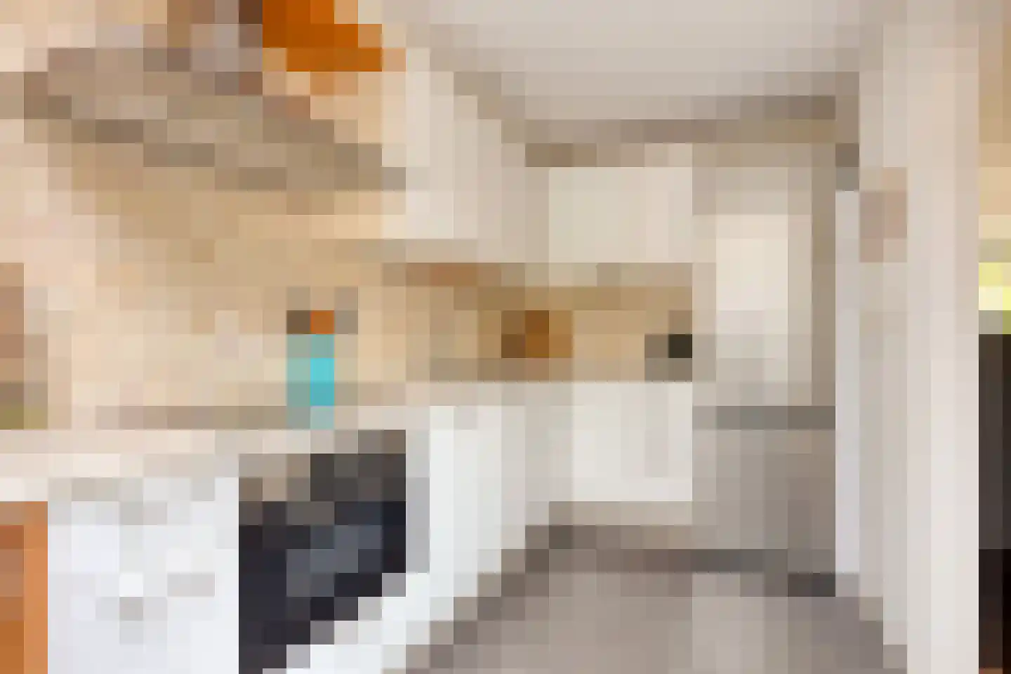 Bestevaerslaan 14 Heiloo thumbnail 9