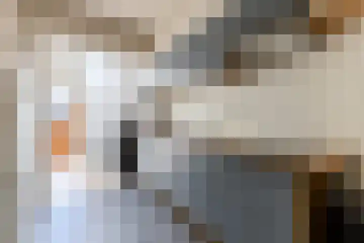 Bestevaerslaan 23 Heiloo thumbnail 10