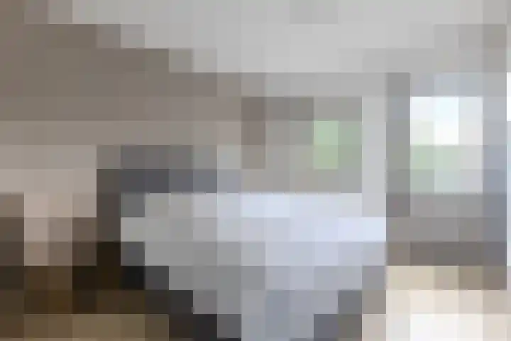 Bestevaerslaan 23 Heiloo thumbnail 16