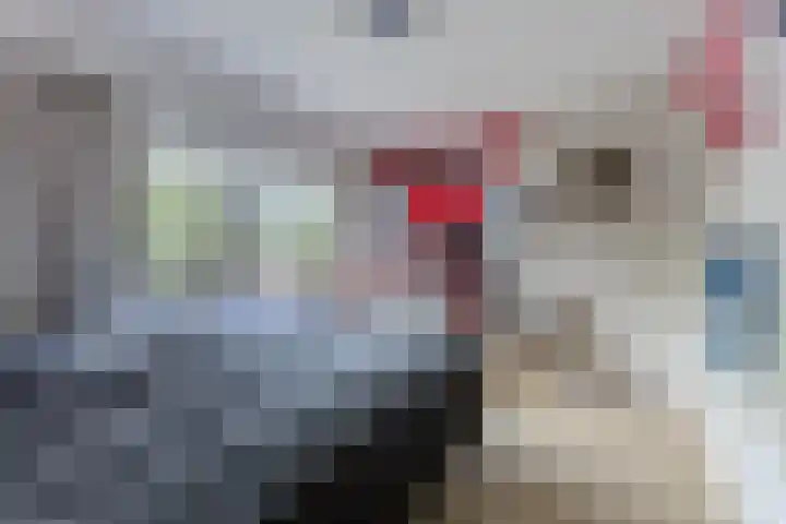 Bestevaerslaan 23 Heiloo thumbnail 18