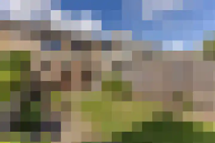 Bestevaerslaan 23 Heiloo foto 2