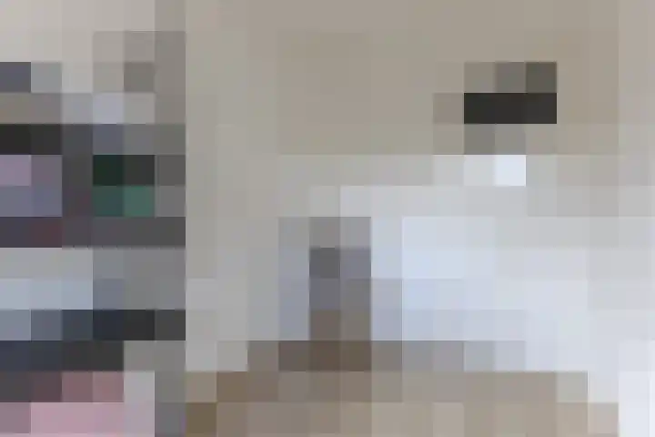 Bestevaerslaan 23 Heiloo thumbnail 21