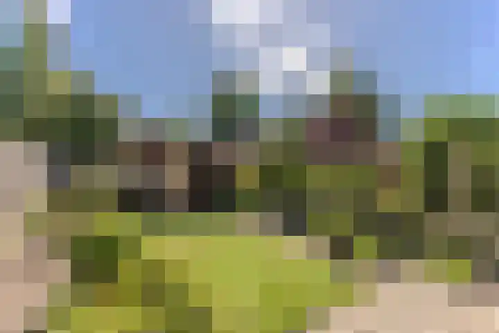 Bestevaerslaan 23 Heiloo thumbnail 27