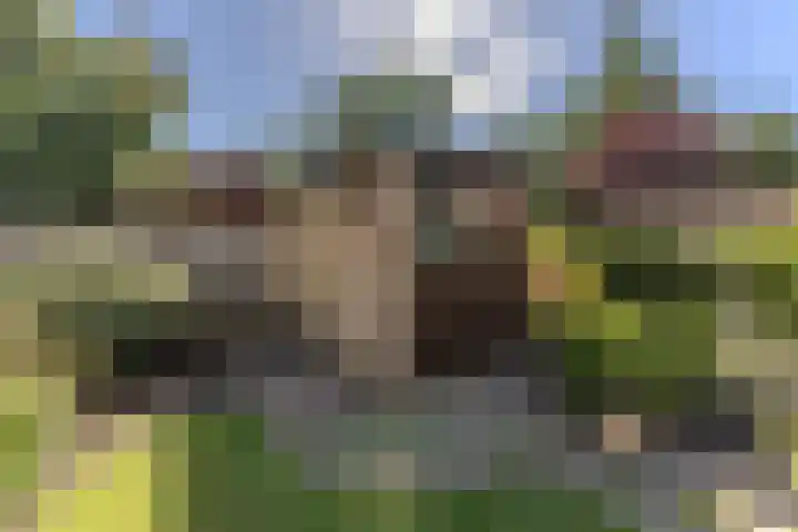 Bestevaerslaan 23 Heiloo thumbnail 28