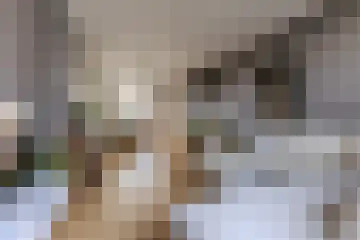 Bestevaerslaan 23 Heiloo thumbnail 4