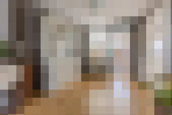 Bestevaerslaan 23 Heiloo thumbnail 5