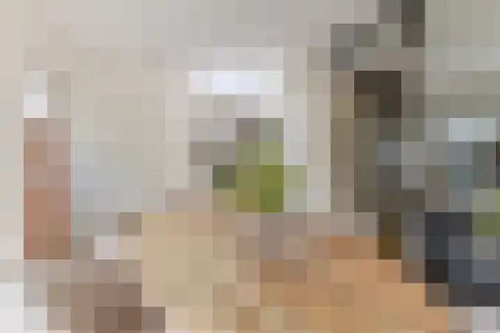 Bestevaerslaan 23 Heiloo thumbnail 6