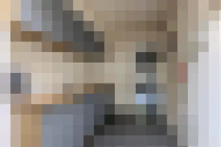 Bestevaerslaan 23 Heiloo thumbnail 8
