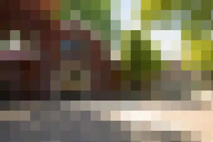 Bestevâerstraat 10 3 Amsterdam thumbnail 34