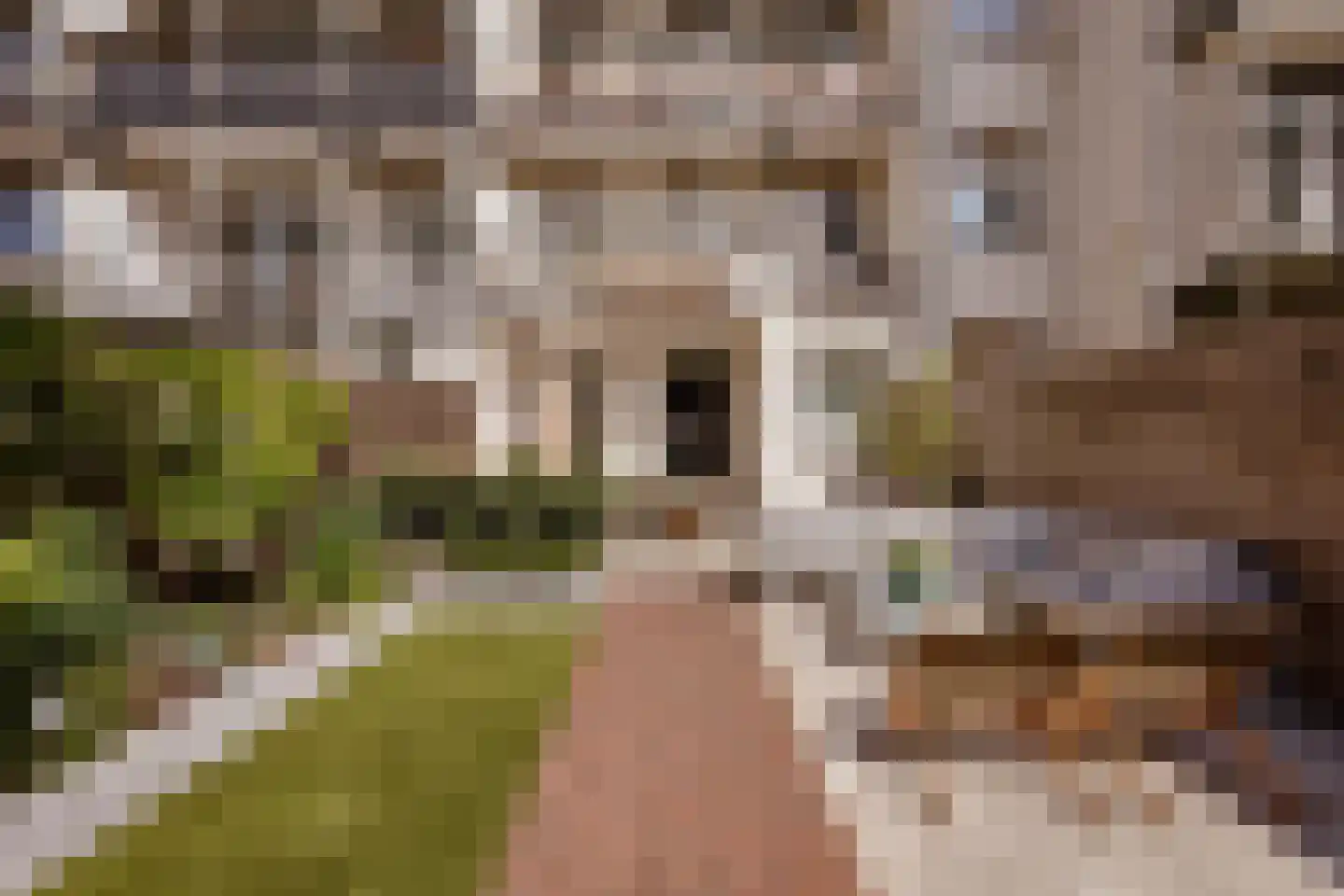 Bestevâerstraat 105 1 Amsterdam thumbnail 23