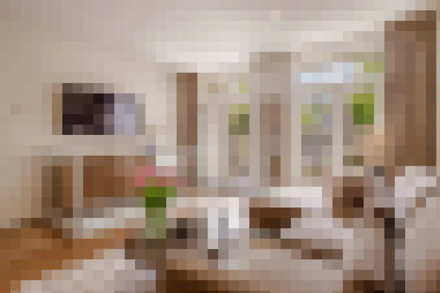 Bestevâerstraat 105 1 Amsterdam thumbnail 5