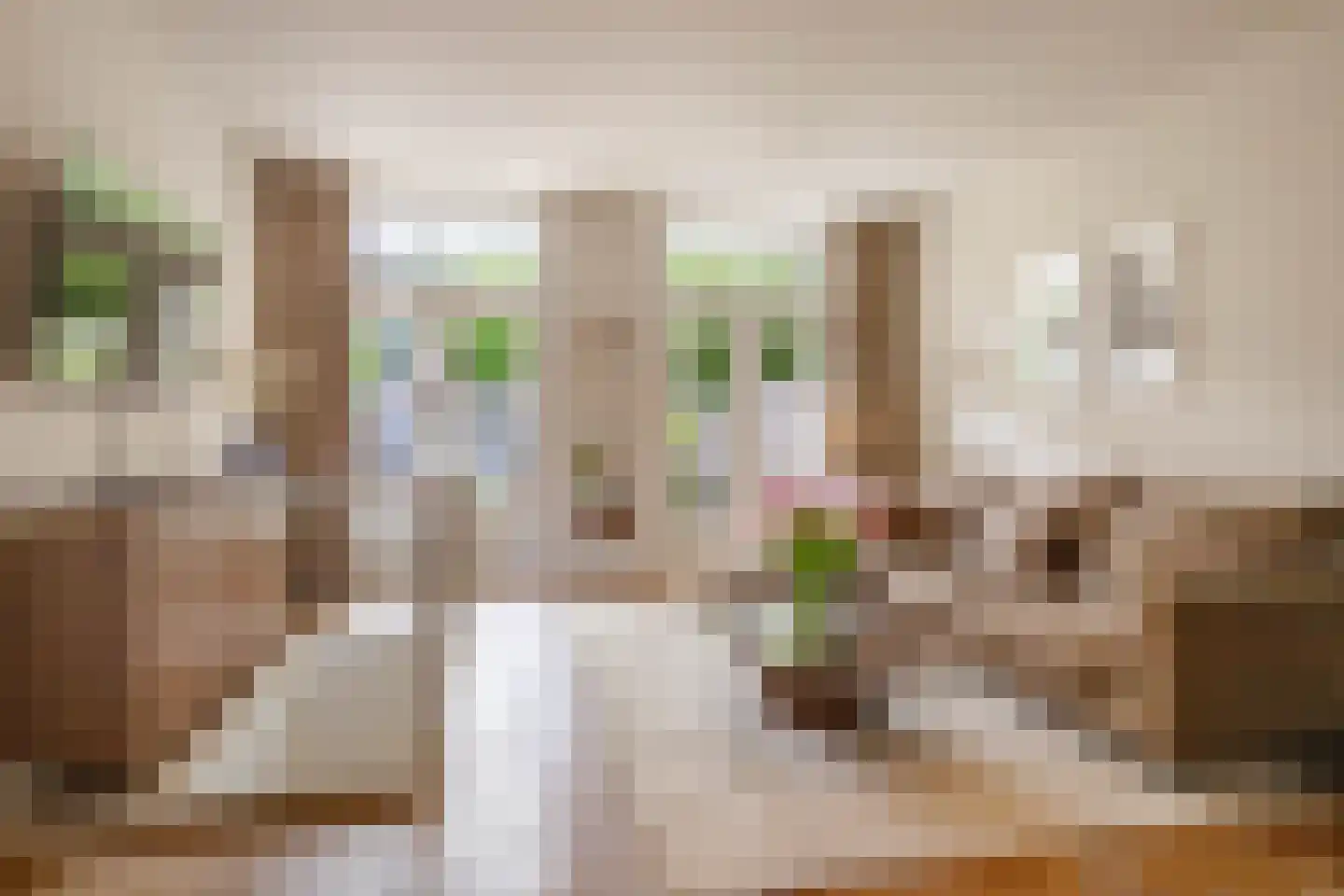 Bestevâerstraat 105 3 Amsterdam thumbnail 4