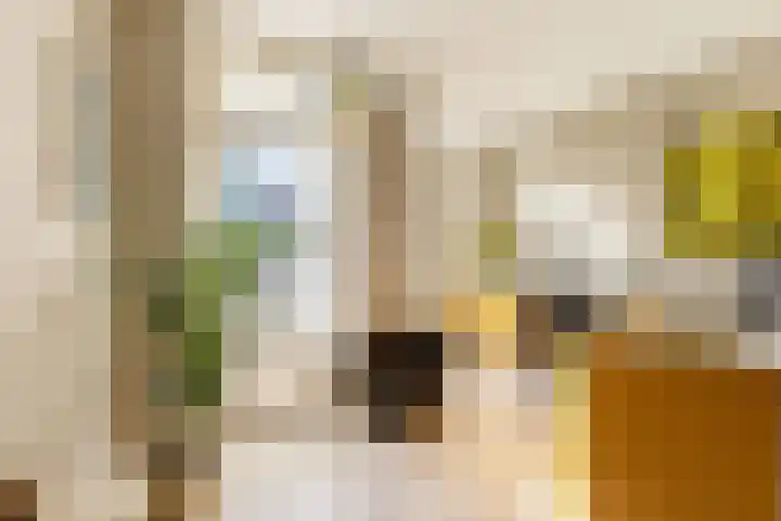 Bestevâerstraat 11 1 Amsterdam thumbnail 18