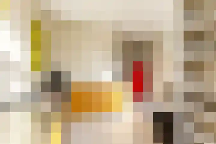 Bestevâerstraat 11 1 Amsterdam thumbnail 21
