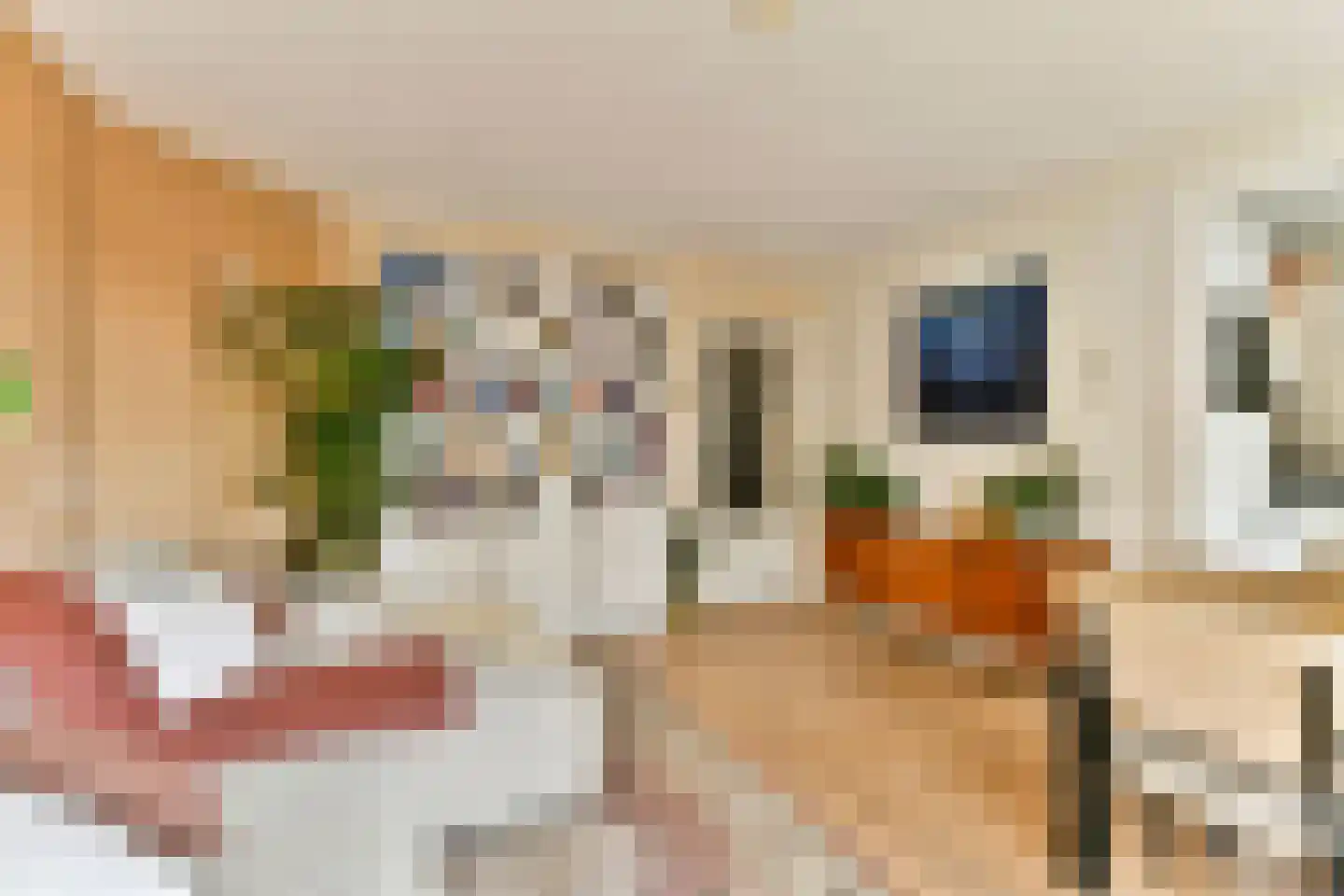 Bestevâerstraat 131 2 Amsterdam thumbnail 10