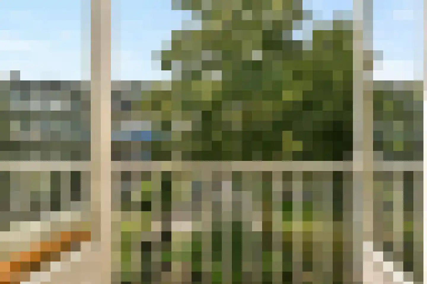 Bestevâerstraat 131 2 Amsterdam thumbnail 14