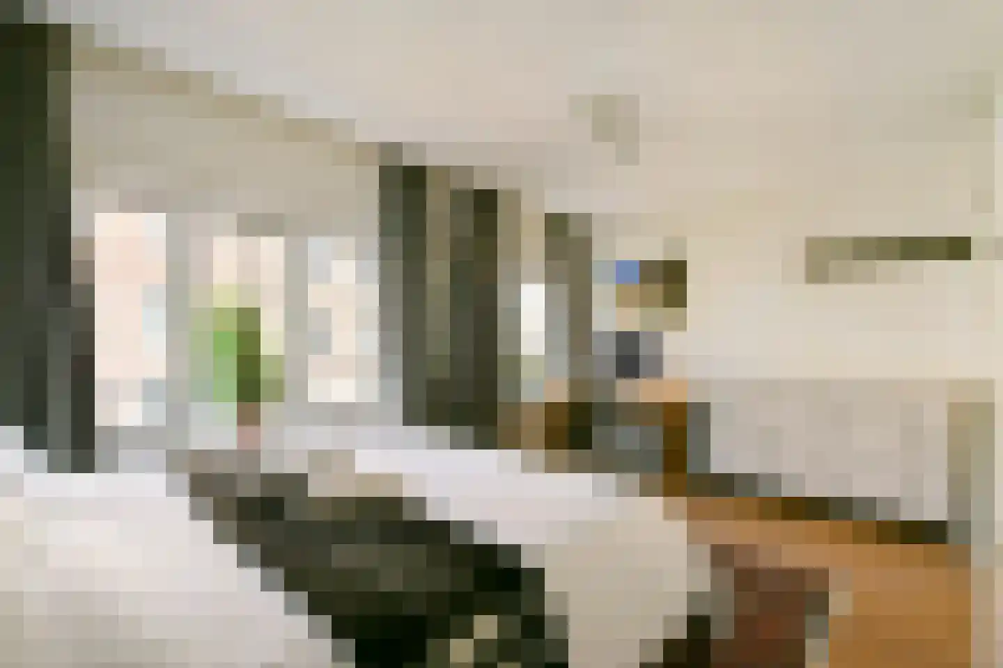 Bestevâerstraat 131 2 Amsterdam thumbnail 19
