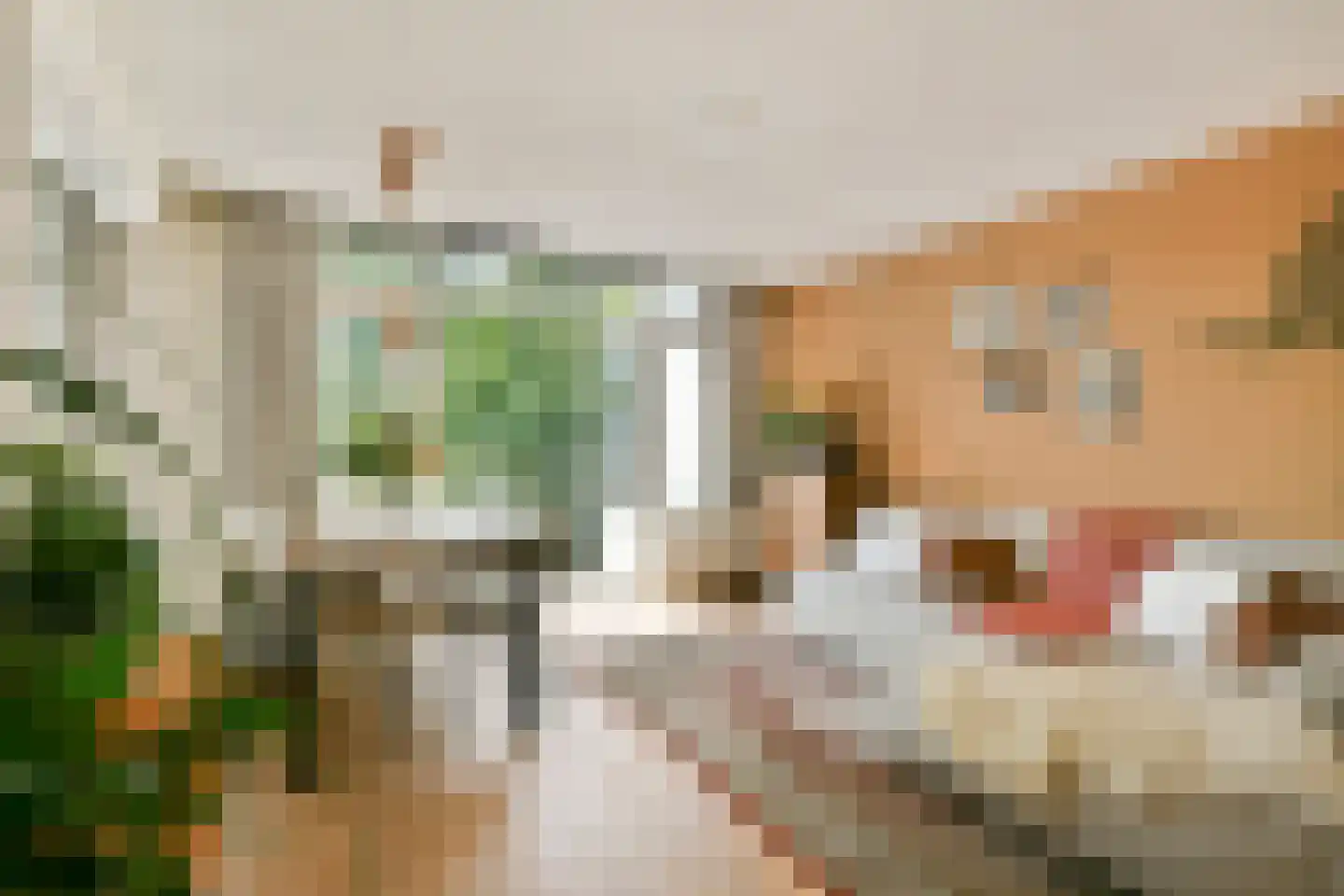 Bestevâerstraat 131 2 Amsterdam thumbnail 8