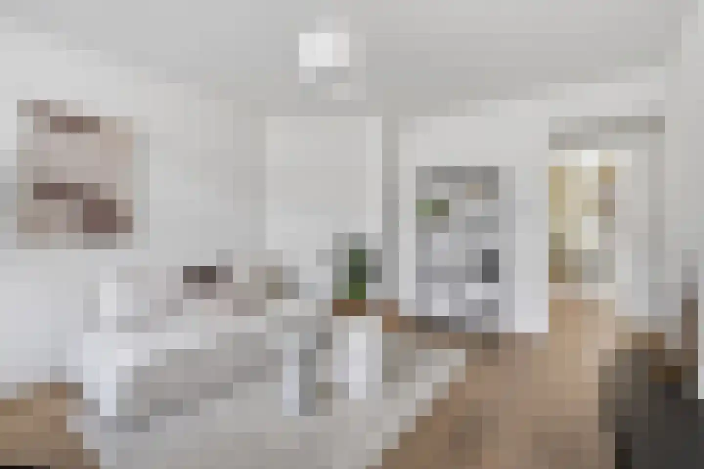 Bestevâerstraat 148 2 Amsterdam thumbnail 5