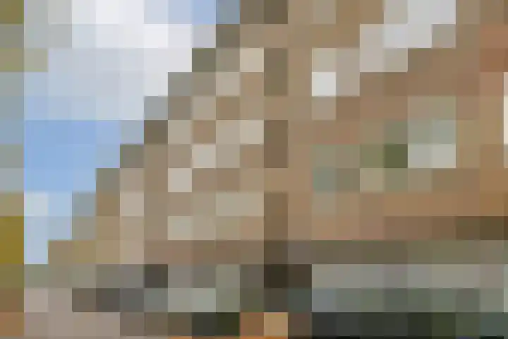 Bestevâerstraat 151 1 Amsterdam thumbnail 18