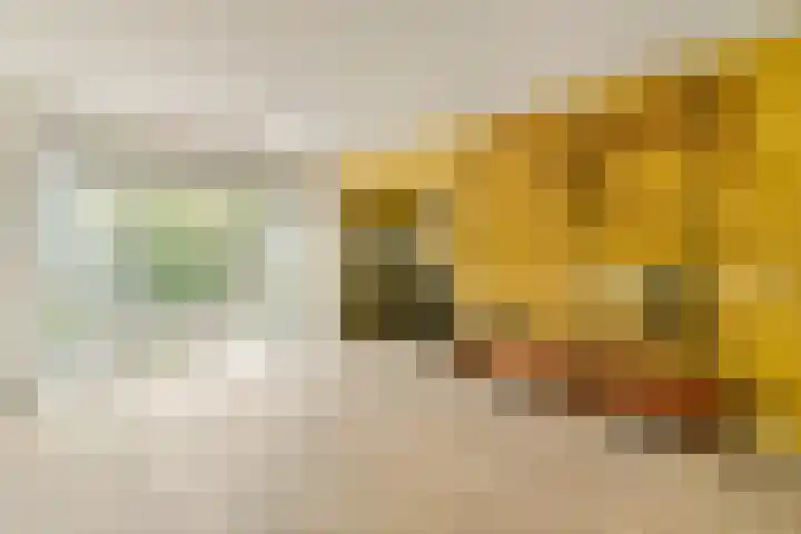 Bestevâerstraat 151 1 Amsterdam thumbnail 9