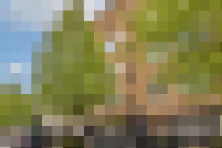 Bestevâerstraat 154 3 in Amsterdam