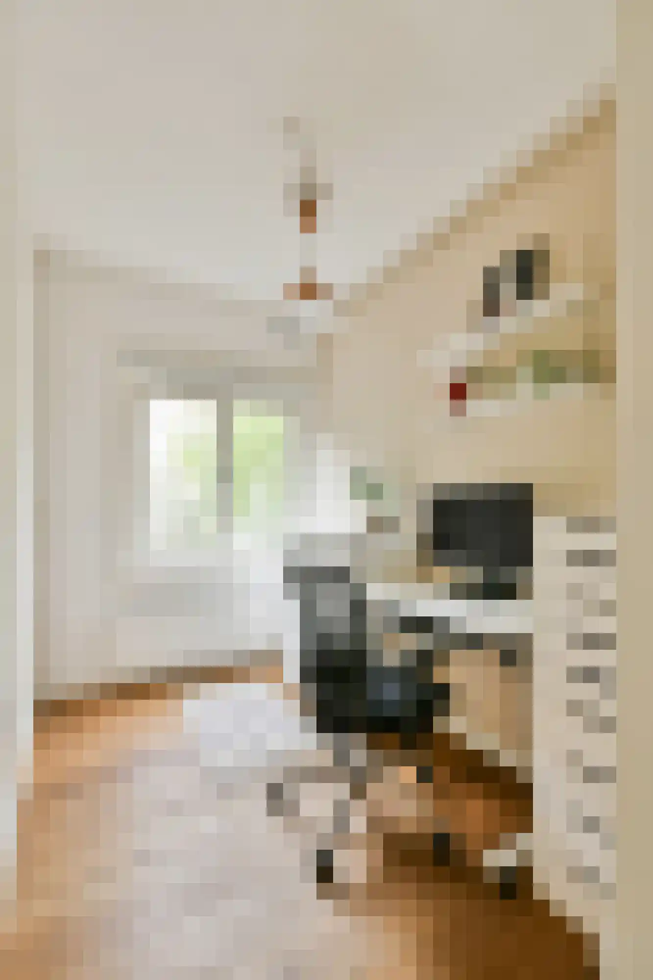 Bestevâerstraat 172 1 Amsterdam thumbnail 12